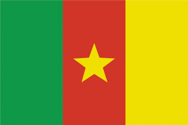 Bandera Camerún